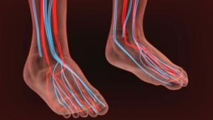 What Is Poor Circulation?